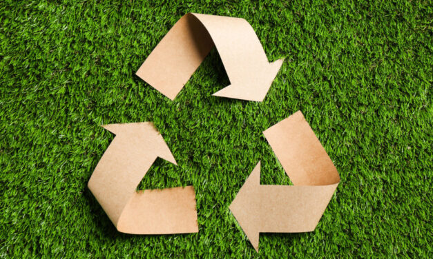 Better Cotton Provides Input on United States FTC Green Guides