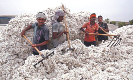 Import duty on cotton a “Retrograde” step, say experts