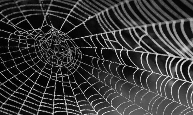 NUS College of Design and Engineering researchers produce fibres for smart textiles