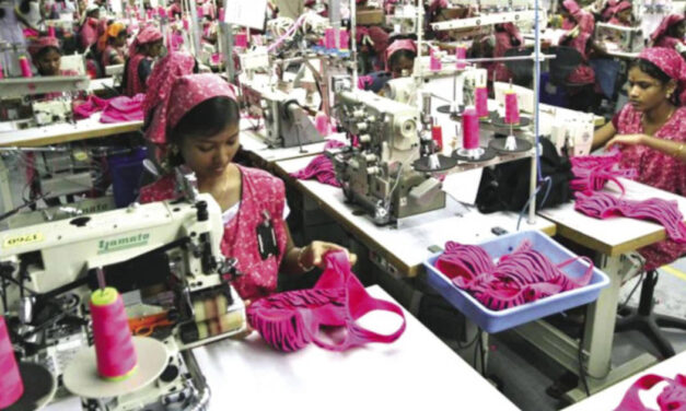 “The decline in the apparel sector should ease towards the end of the year”