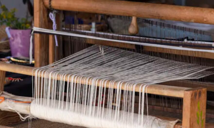 Liva by Birla Cellulose has collaborated with 1500 weavers from 7 states and 18 districts