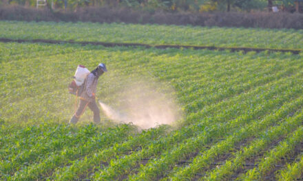 Better Cotton urges action on dangerous pesticides