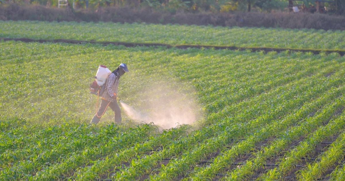 Better Cotton urges action on dangerous pesticides Apparel Industry Garment Industry