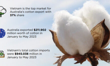 Vietnam is becoming Australia’s leading cotton importer