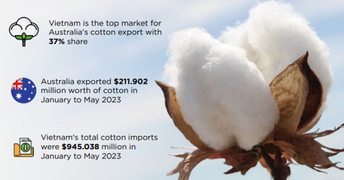 Vietnam is becoming Australia's leading cotton importer - Apparel Views
