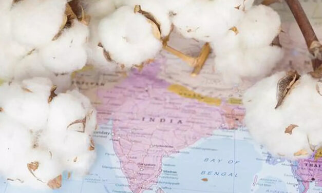 Brazil is negotiating with India over its request for tariff-free quota for cotton exports