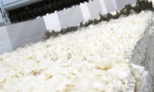 Violar S.A. (Greece) joins ITMF as Corporate Member