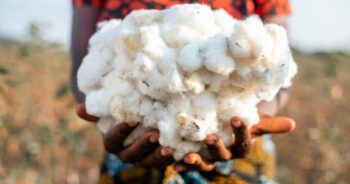 AbTF announces annual Cotton Conference in Mumbai: A Sustainable Future for Cotton