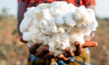 AbTF announces annual Cotton Conference in Mumbai: A Sustainable Future for Cotton