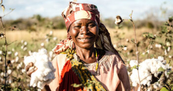 Olam Agri launches agriculture programme to support traceable and sustainably grown cotton