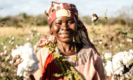 Olam Agri launches agriculture programme to support traceable and sustainably grown cotton