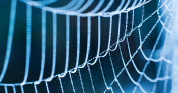 Kraig Biocraft Laboratories announces new premium spider silk and pima cotton composite yarn