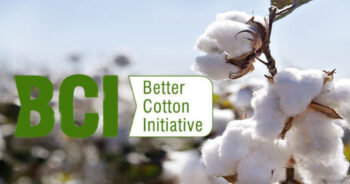 Better Cotton introduces the digital data plan for Pakistan