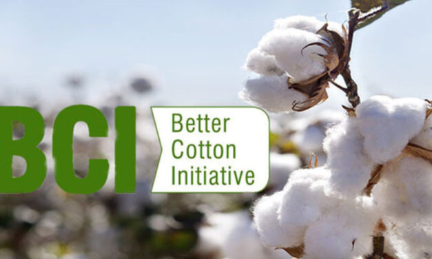 Better Cotton introduces the digital data plan for Pakistan