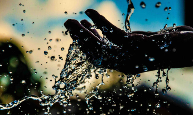 Active Apparel Group embraces toxin reduction, uses Oeko-Tex 100 certified water-based inks for apparel printing