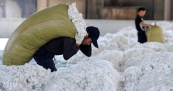 Outreach and engagement is essential for the cotton sector
