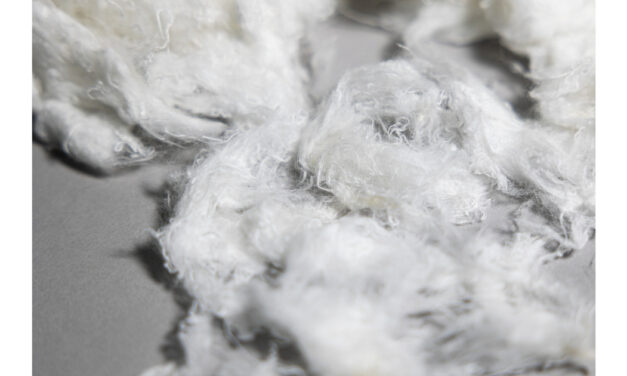 RE&UP pushes sustainable solutions further at Global Fashion Summit