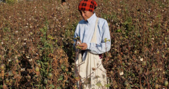 Uzbek cotton sector urged to safeguard activists following alleged assault