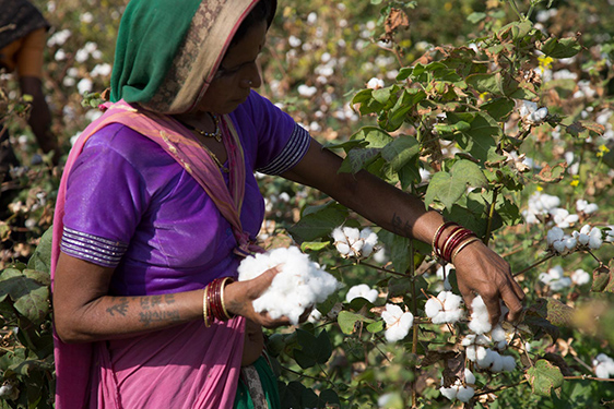 CITI and ILO to work towards promotion of FPRW among