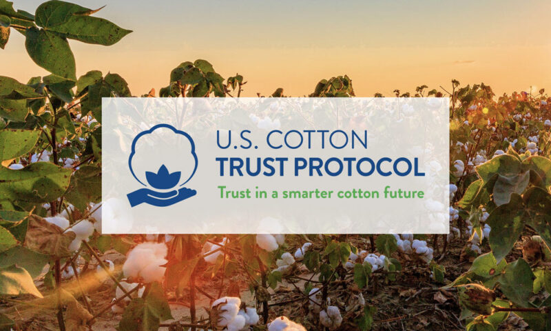 U.S. Cotton Trust Protocol expands enrollment by 35%