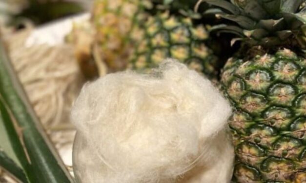 NEXTEVO showcases sustainable pineapple leaf fibre solutions, highlighting traceability features and OEKO-TEX® Certification