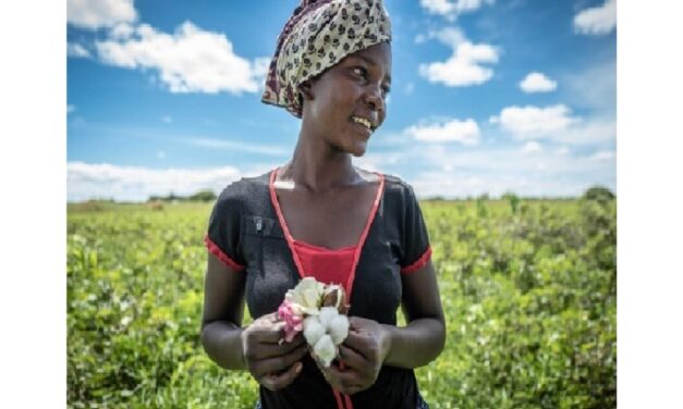 World Cotton Day: Cotton made in Africa Celebrates World’s Top Natural Textile Fibre