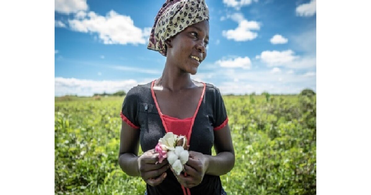 World Cotton Day: Cotton made in Africa Celebrates World’s Top Natural ...