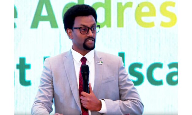 Ethiopia emerges as key hub for sustainable textile investment