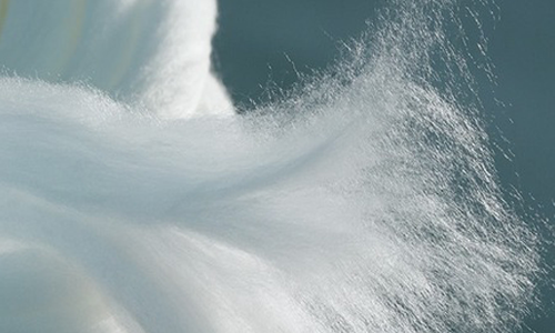 Lenzing Nonwovens expands its LENZING™ Lyocell Dry Fiber portfolio