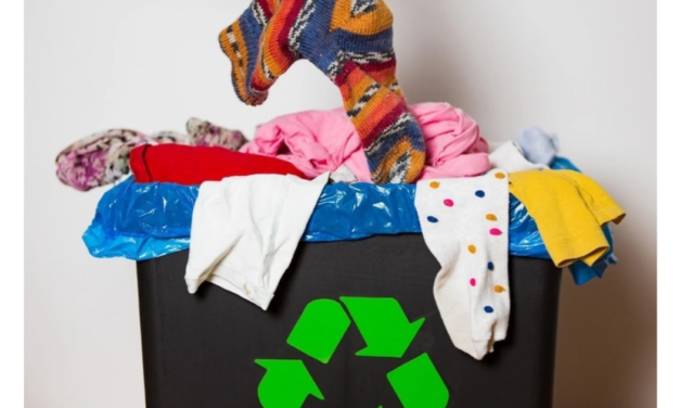 Reju and Cibutex partner to create circular ecosystem for sustainable textile recycling