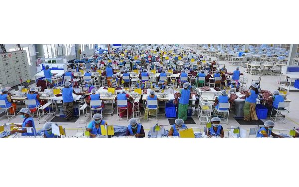 Pearl Global Industries delivers highest ever revenue Rs. 4,506 Crores in FY25