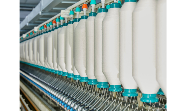 Sanathan Textiles reports robust FY25 results; PAT Up 20%, EBITDA Up 16% YoY