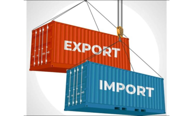 CITI analysis of exports and imports of T&A for June 2025