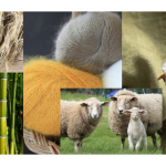 Interest in new sustainable fibers for developing advanced products is emerging