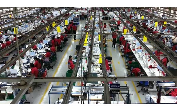 PDS reports Q1 FY26 results, reported y-o-y growth in topline of 14%