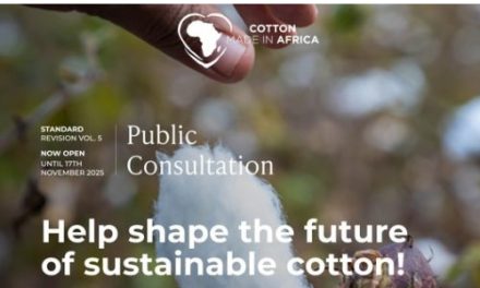 Cotton made in Africa launches public consultation for standard revision