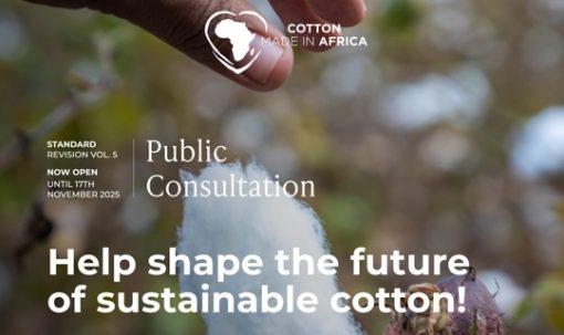 Cotton made in Africa launches public consultation for standard revision