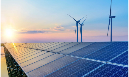LS&Co. announces LEAP to accelerate renewables in India