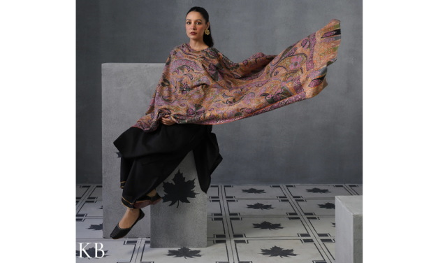 With Fresh Capital and FDI support, Kashmir Box reports 4x profitable growth and redefines its future as a ‘House of Brands’