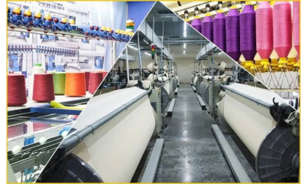 Odisha Misses PM MITRA Park