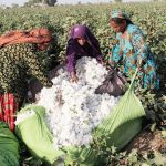 CITI delegation appeals to Union Agriculture Minister for duty-free cotton imports, citing competitiveness concerns.