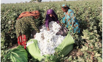 CITI delegation appeals to Union Agriculture Minister for duty-free cotton imports, citing competitiveness concerns.
