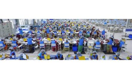 Pearl Global Industries records highest ever revenue of INR 5,025 crore for FY26, grew by 11.5% Y-o-Y