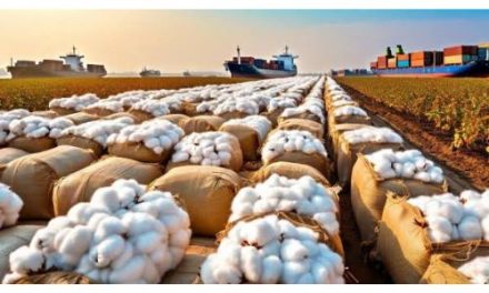 AEPC welcomes temporary exemption of customs duty on cotton imports