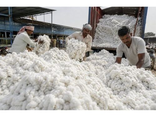 Govt exempts import duty on cotton till October 30