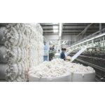 Duty-Free Cotton Imports Till October 31 To Ease Raw Material Costs for Textile Industry