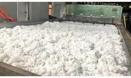 Polyester Fiber Market Set for Strong Growth Amid Rising Textile and Automotive Demand