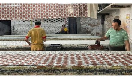 Sanganer textile mills are getting closer to being fully covered by CETP