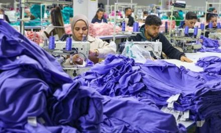 Turkey’s exporters chief says country’s manufacturers cannot survive under current economic policy