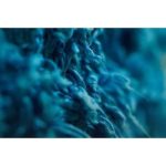 Textile industry challenged over microfibre leaks into the environment